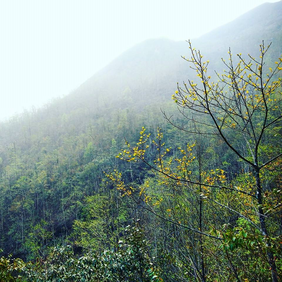 Đường[-]lên[-]Bạch[-]Mộc[-]Lương[-]Tử